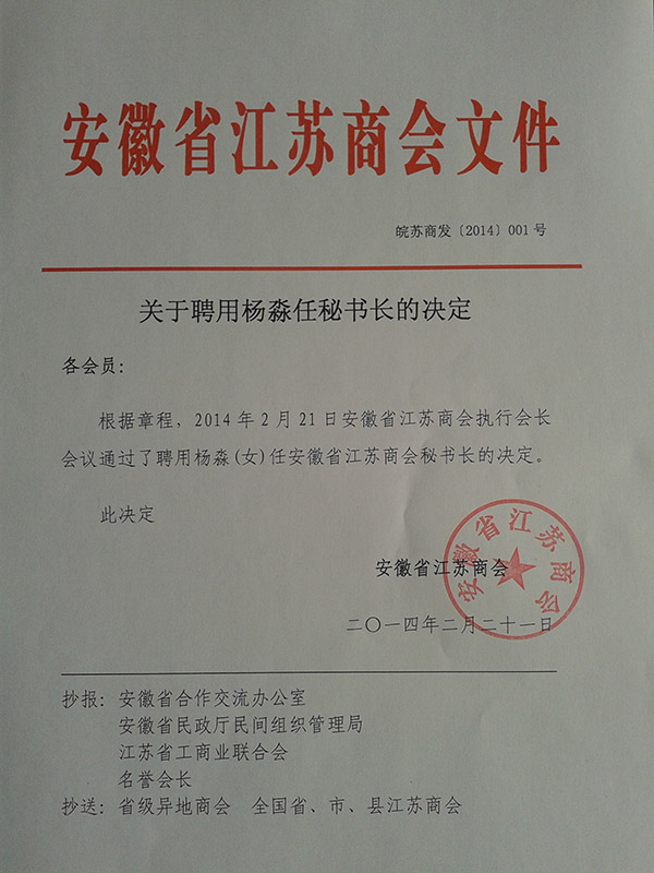 关于聘用秘书长的决定