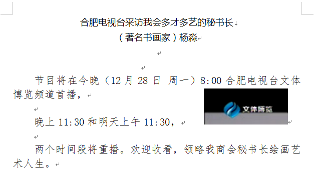合肥电视台采访我会多才多艺的秘书长